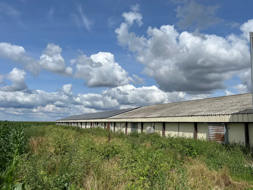 Installation de 100 kWc à Venesmes (18)