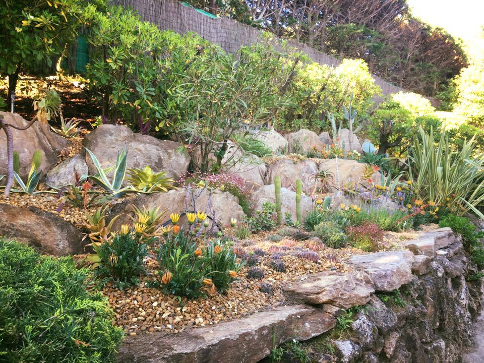 Rocaille méditerranéenne entretenue, agaves et vivaces sur mur de pierre