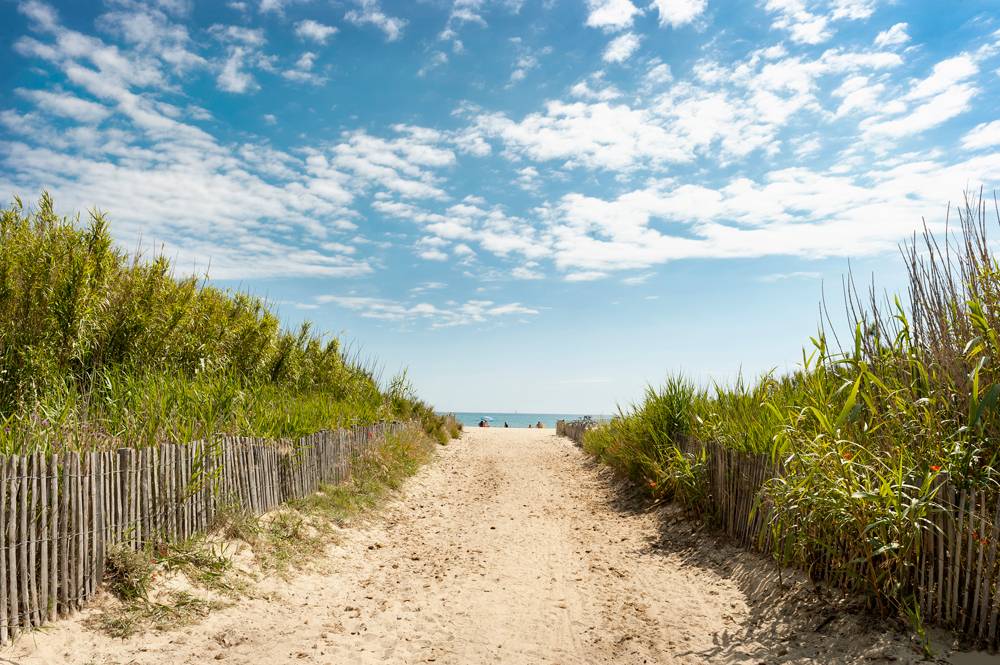 Accès à une plage privée entre ganivelles et roseaux