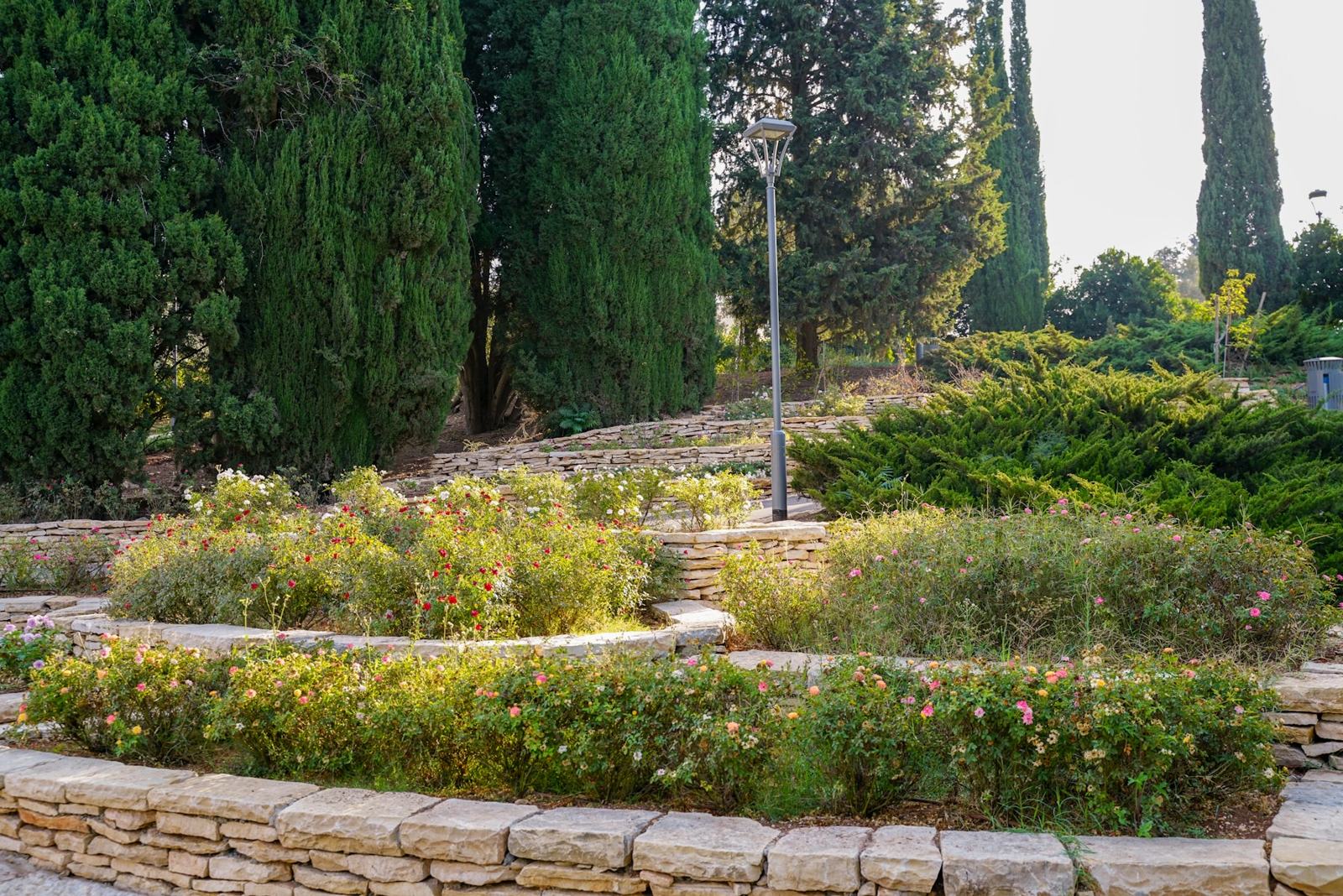 Jardin méditerranéen en restanques, massifs ronds bordés de pierre et cyprès
