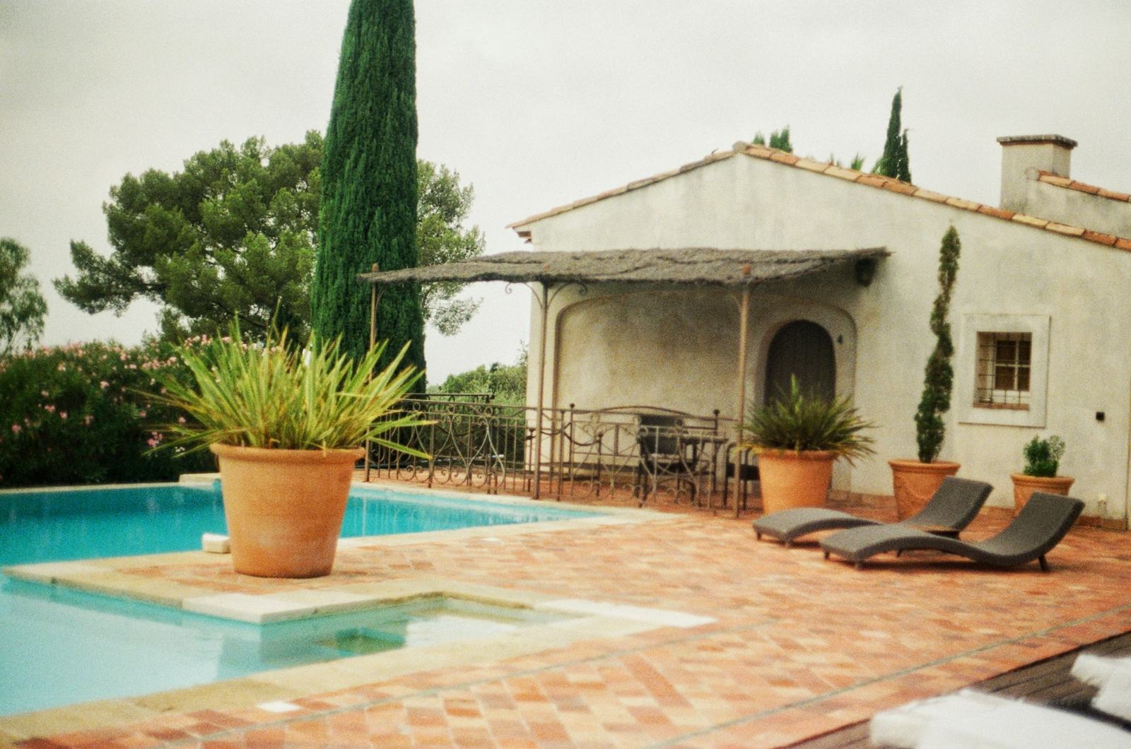 Terrasse en terre cuite autour d'une piscine, oliviers en pots et cyprès