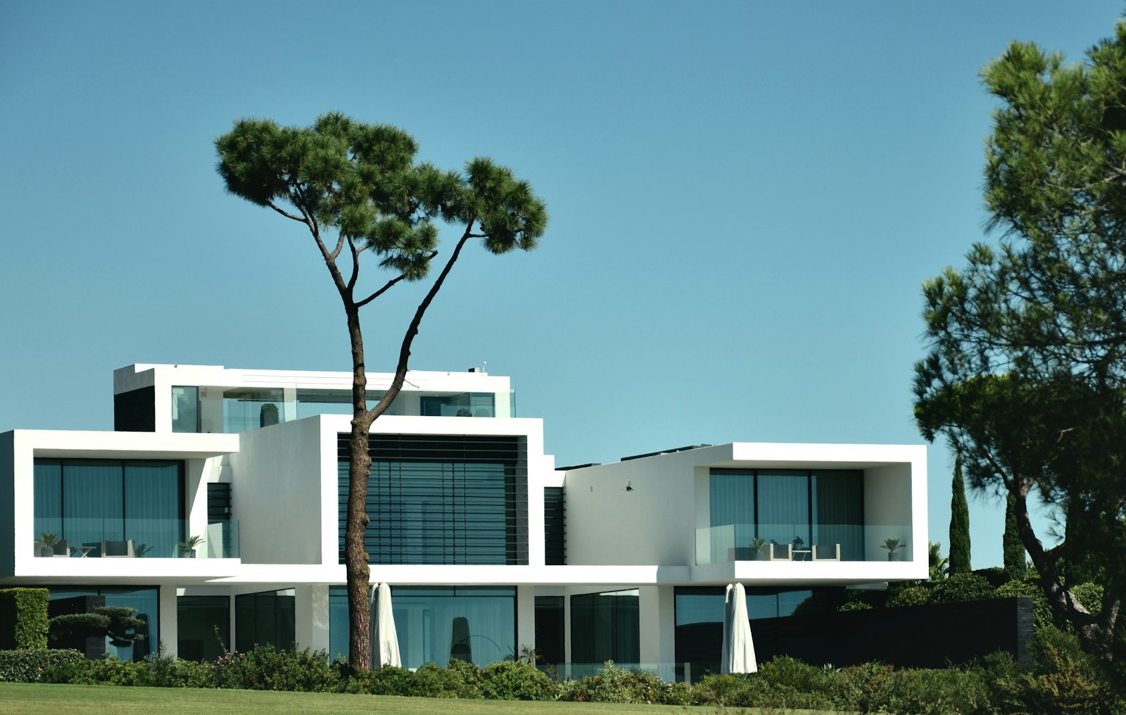 Villa contemporaine blanche entourée de pins parasols