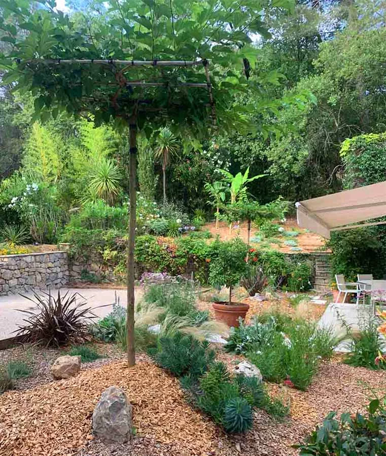 Pergola végétalisée et jardin en gravier