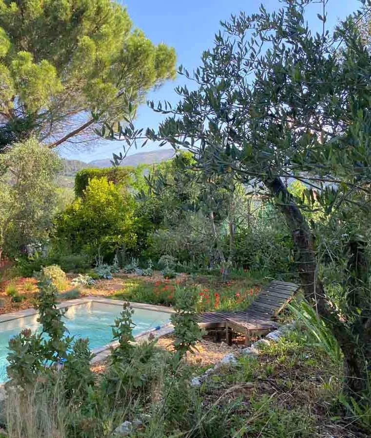 Jardin paysager avec piscine et oliviers